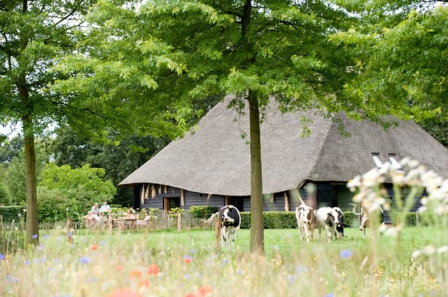 Vergaderen bij Landgoed de Hoevens in Alphen, Noord-Brabant via BuitenBusiness